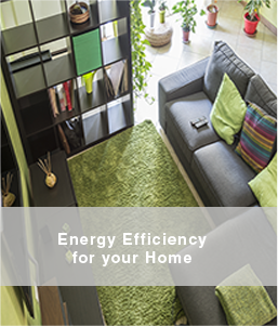 Energy Efficient Home 